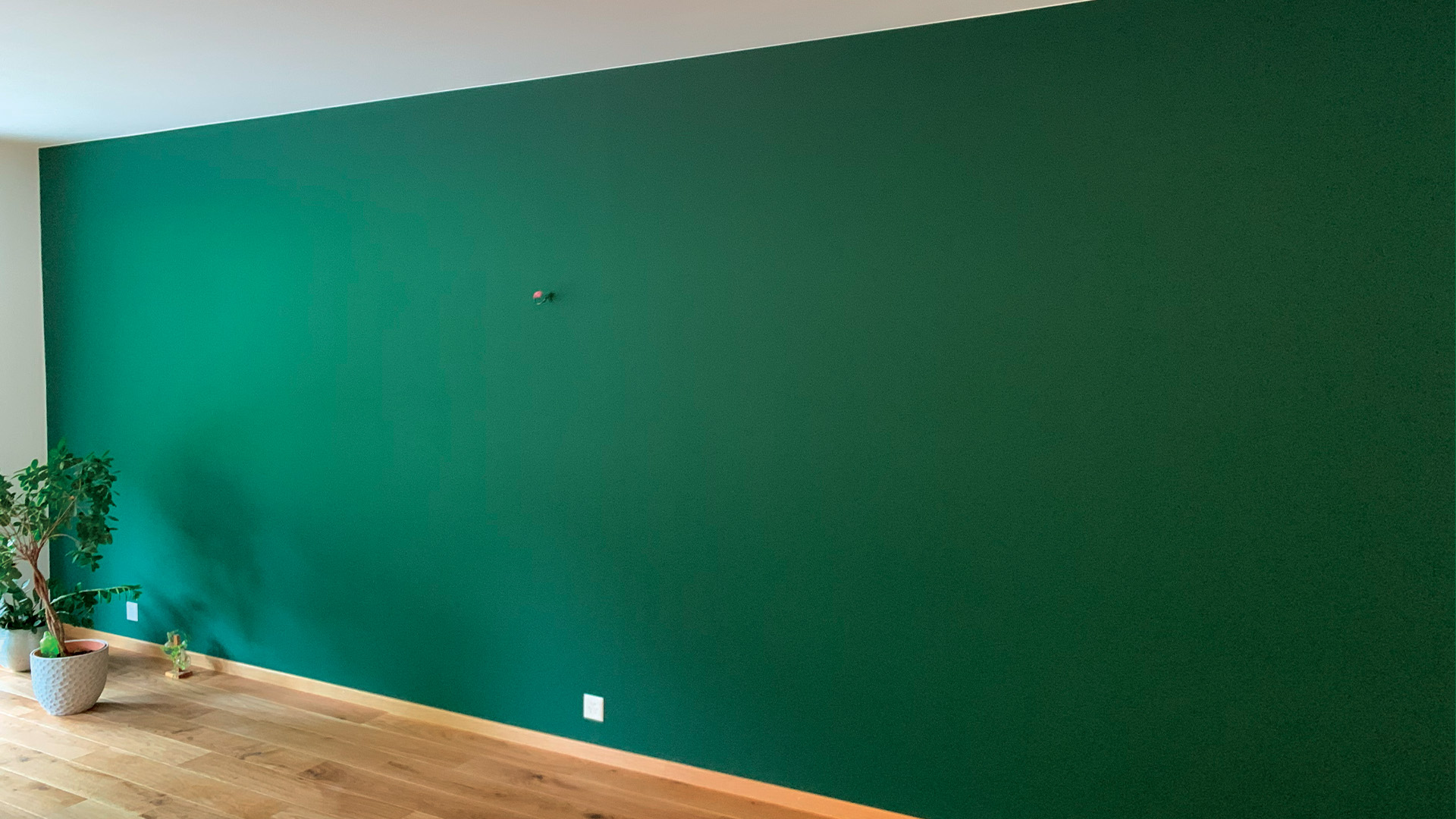 A bold green statement